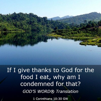 Picture 03 - 1 Corinthians 10:30 GW - If I give thanks to God for the food I eat, why - Bible Verse Picture