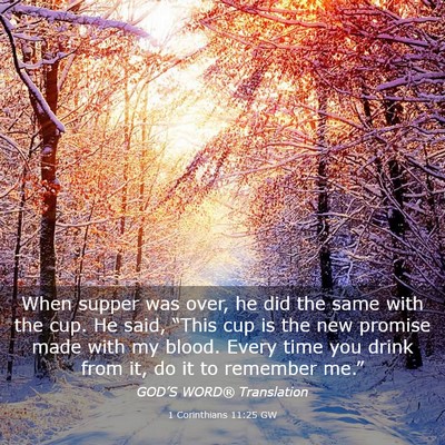 Picture 03 - 1 Corinthians 11:25 GW - When supper was over, he did the same with the - Bible Verse Picture