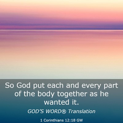 Picture 03 - 1 Corinthians 12:18 GW - So God put each and every part of the body - Bible Verse Picture