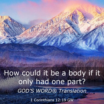 Picture 03 - 1 Corinthians 12:19 GW - How could it be a body if it only had one - Bible Verse Picture