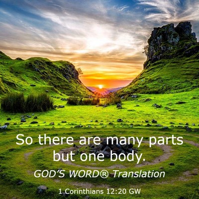 Picture 03 - 1 Corinthians 12:20 GW - So there are many parts but one - Bible Verse Picture