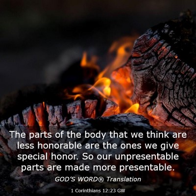 Picture 03 - 1 Corinthians 12:23 GW - The parts of the body that we think are less - Bible Verse Picture