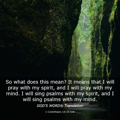 Picture 03 - 1 Corinthians 14:15 GW - So what does this mean? It means that I will pray - Bible Verse Picture