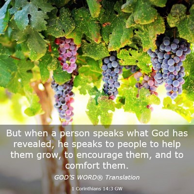 Picture 03 - 1 Corinthians 14:3 GW - But when a person speaks what God has revealed, - Bible Verse Picture