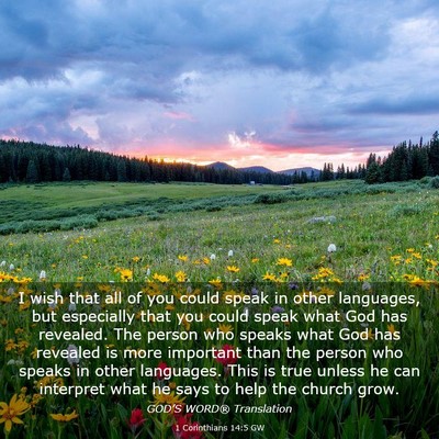 Picture 03 - 1 Corinthians 14:5 GW - I wish that all of you could speak in other - Bible Verse Picture
