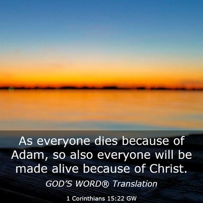 Picture 03 - 1 Corinthians 15:22 GW - As everyone dies because of Adam, so also - Bible Verse Picture
