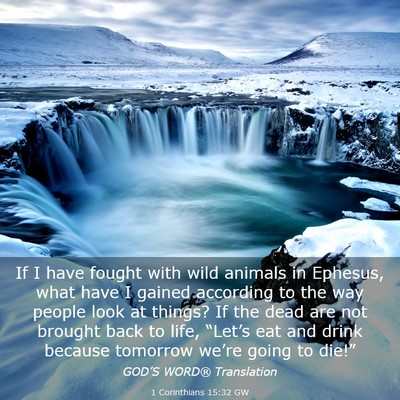 Picture 03 - 1 Corinthians 15:32 GW - If I have fought with wild animals in Ephesus, - Bible Verse Picture