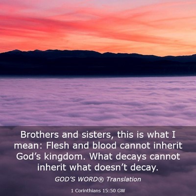 Picture 03 - 1 Corinthians 15:50 GW - Brothers and sisters, this is what I mean: Flesh - Bible Verse Picture