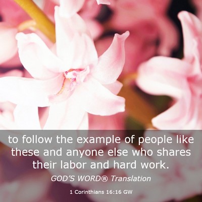 Picture 03 - 1 Corinthians 16:16 GW - to follow the example of people like these and - Bible Verse Picture