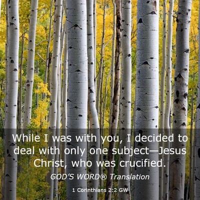 Picture 03 - 1 Corinthians 2:2 GW - While I was with you, I decided to deal with only - Bible Verse Picture