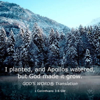 Picture 03 - 1 Corinthians 3:6 GW - I planted, and Apollos watered, but God made it - Bible Verse Picture