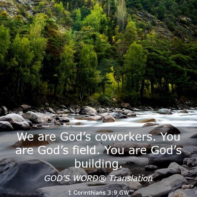 Picture 03 - 1 Corinthians 3:9 GW - We are God’s coworkers. You are God’s field. - Bible Verse Picture