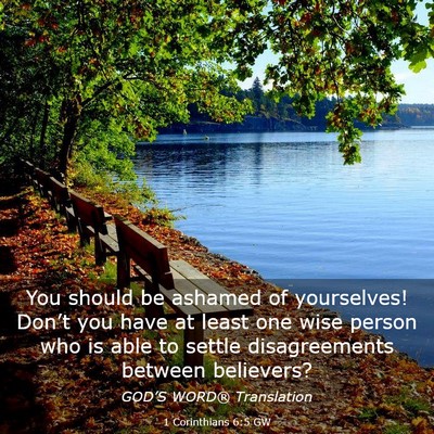 Picture 03 - 1 Corinthians 6:5 GW - You should be ashamed of yourselves! Don’t you - Bible Verse Picture