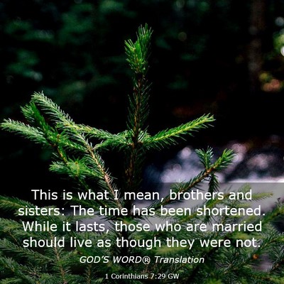 Picture 03 - 1 Corinthians 7:29 GW - This is what I mean, brothers and sisters: The - Bible Verse Picture