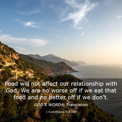 Picture 03 - 1 Corinthians 8:8 GW - Food will not affect our relationship with God. - Bible Verse Picture