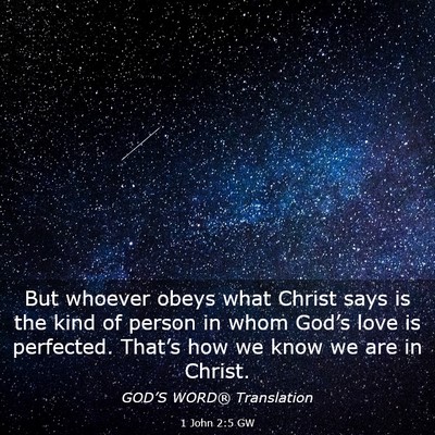 Picture 03 - 1 John 2:5 GW - But whoever obeys what Christ says is the kind of - Bible Verse Picture
