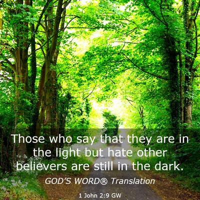 Picture 03 - 1 John 2:9 GW - Those who say that they are in the light but hate - Bible Verse Picture