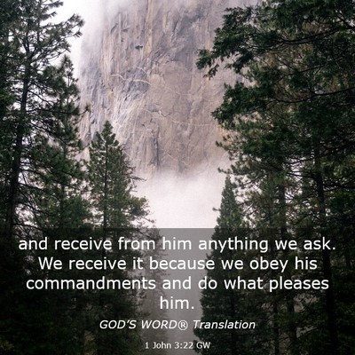 Picture 03 - 1 John 3:22 GW - and receive from him anything we ask. We receive - Bible Verse Picture