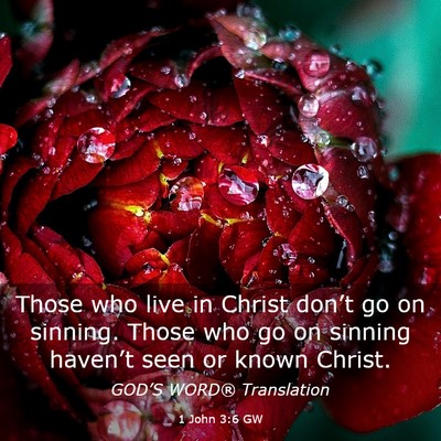Picture 03 - 1 John 3:6 GW - Those who live in Christ don’t go on sinning. - Bible Verse Picture