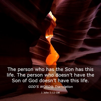Picture 03 - 1 John 5:12 GW - The person who has the Son has this life. The - Bible Verse Picture
