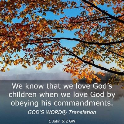 Picture 03 - 1 John 5:2 GW - We know that we love God’s children when we - Bible Verse Picture