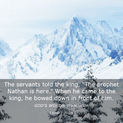 Picture 03 - 1 Kings 1:23 GW - The servants told the king, “The prophet Nathan - Bible Verse Picture