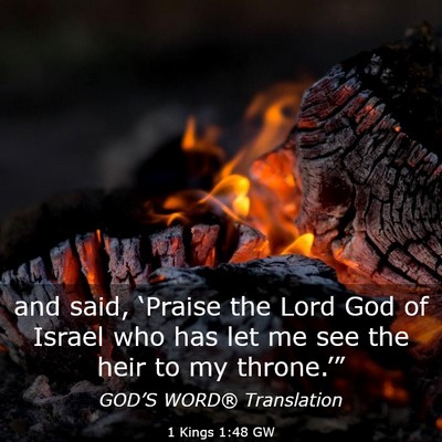 Picture 03 - 1 Kings 1:48 GW - and said, ‘Praise the Lord God of Israel who - Bible Verse Picture
