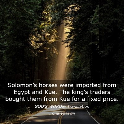 Picture 03 - 1 Kings 10:28 GW - Solomon’s horses were imported from Egypt and - Bible Verse Picture