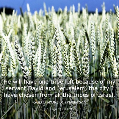 Picture 03 - 1 Kings 11:32 GW - He will have one tribe left because of my servant - Bible Verse Picture