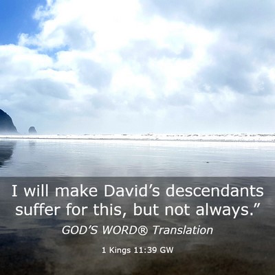 Picture 03 - 1 Kings 11:39 GW - I will make David’s descendants suffer for - Bible Verse Picture