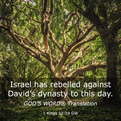 Picture 03 - 1 Kings 12:19 GW - Israel has rebelled against David’s dynasty to - Bible Verse Picture