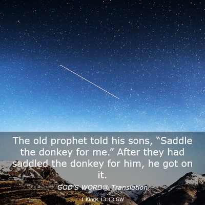 Picture 03 - 1 Kings 13:13 GW - The old prophet told his sons, “Saddle the - Bible Verse Picture