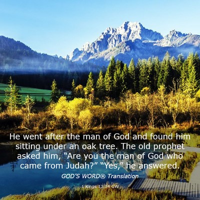 Picture 03 - 1 Kings 13:14 GW - He went after the man of God and found him - Bible Verse Picture