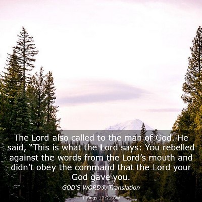 Picture 03 - 1 Kings 13:21 GW - The Lord also called to the man of God. He said, - Bible Verse Picture