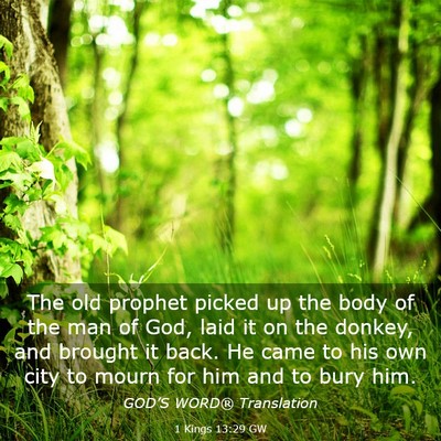 Picture 03 - 1 Kings 13:29 GW - The old prophet picked up the body of the man of - Bible Verse Picture