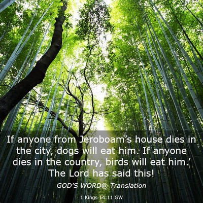 Picture 03 - 1 Kings 14:11 GW - If anyone from Jeroboam’s house dies in the - Bible Verse Picture