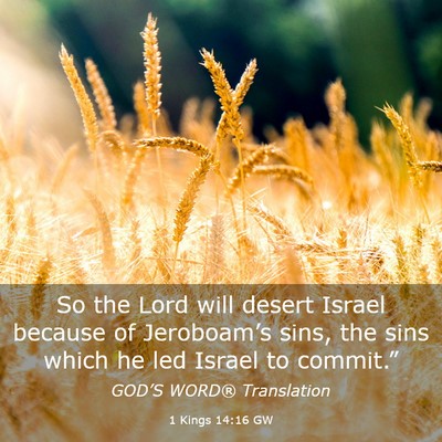 Picture 03 - 1 Kings 14:16 GW - So the Lord will desert Israel because of - Bible Verse Picture