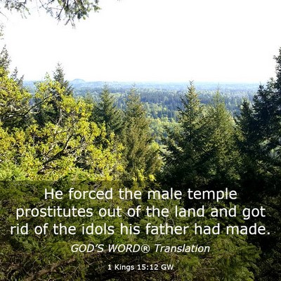 Picture 03 - 1 Kings 15:12 GW - He forced the male temple prostitutes out of the - Bible Verse Picture