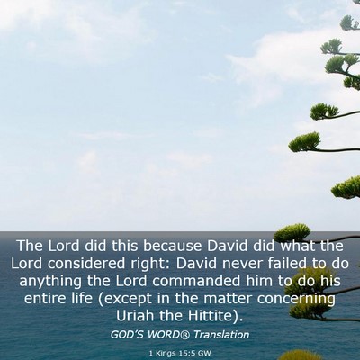Picture 03 - 1 Kings 15:5 GW - The Lord did this because David did what the Lord - Bible Verse Picture