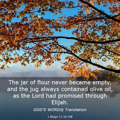 Picture 03 - 1 Kings 17:16 GW - The jar of flour never became empty, and the jug - Bible Verse Picture