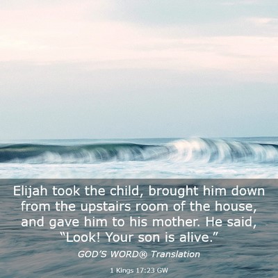 Picture 03 - 1 Kings 17:23 GW - Elijah took the child, brought him down from the - Bible Verse Picture