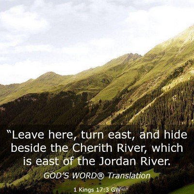 Picture 03 - 1 Kings 17:3 GW - “Leave here, turn east, and hide beside the - Bible Verse Picture