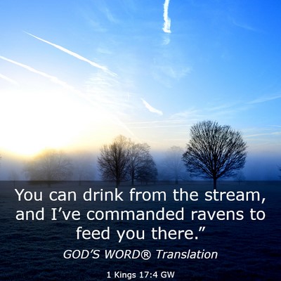 Picture 03 - 1 Kings 17:4 GW - You can drink from the stream, and I’ve - Bible Verse Picture