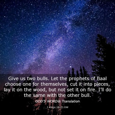 Picture 03 - 1 Kings 18:23 GW - Give us two bulls. Let the prophets of Baal - Bible Verse Picture