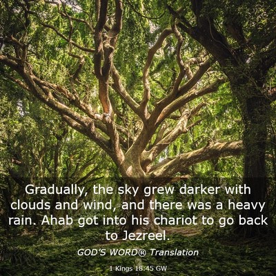 Picture 03 - 1 Kings 18:45 GW - Gradually, the sky grew darker with clouds and - Bible Verse Picture