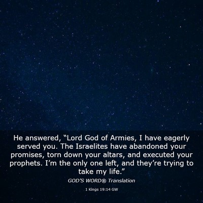 Picture 03 - 1 Kings 19:14 GW - He answered, “Lord God of Armies, I have - Bible Verse Picture