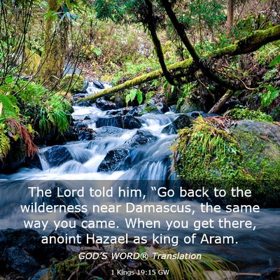 Picture 03 - 1 Kings 19:15 GW - The Lord told him, “Go back to the wilderness - Bible Verse Picture