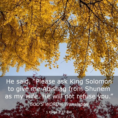 Picture 03 - 1 Kings 2:17 GW - He said, “Please ask King Solomon to give me - Bible Verse Picture