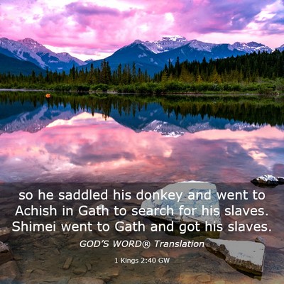 Picture 03 - 1 Kings 2:40 GW - so he saddled his donkey and went to Achish in - Bible Verse Picture