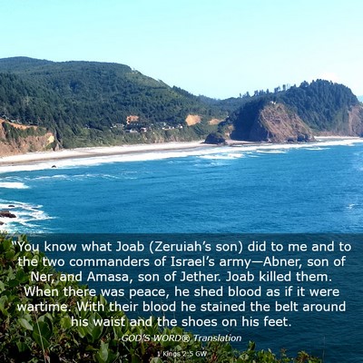 Picture 03 - 1 Kings 2:5 GW - “You know what Joab (Zeruiah’s son) did to me - Bible Verse Picture